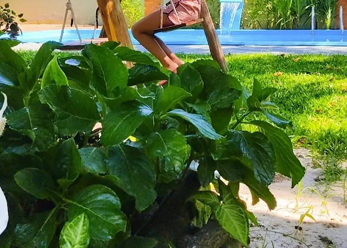 Apartamento Vila Dos Sabias